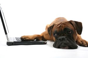 Getting more people to  like you and follow you on the social media - some quick ideas