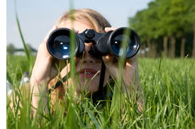 Use your statistics to find out how people are finding your website